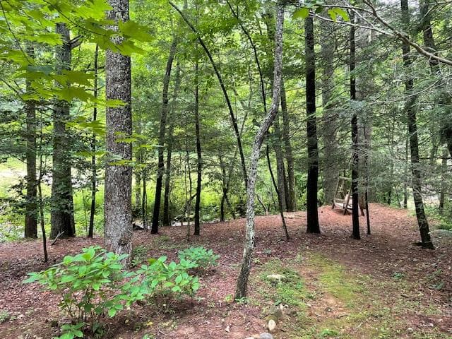 77 Old Covered Bridge Road, Cherry Log GA 30522 - Photo