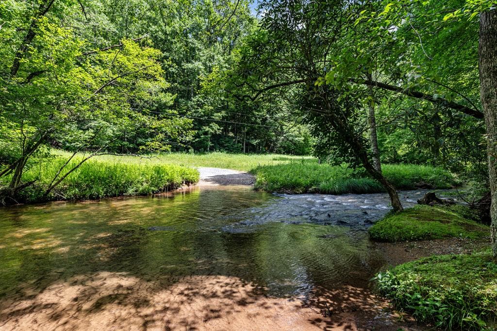 77 Old Covered Bridge Road, Cherry Log GA 30522 - Photo