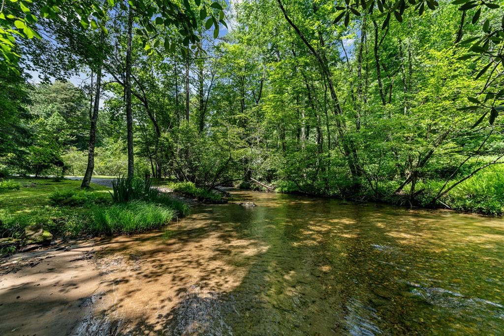 77 Old Covered Bridge Road, Cherry Log GA 30522 - Photo