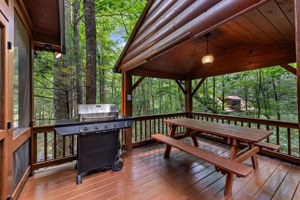 77 Old Covered Bridge Road, Cherry Log GA 30522 - Photo