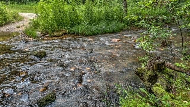 77 Old Covered Bridge Road, Cherry Log GA 30522 - Photo