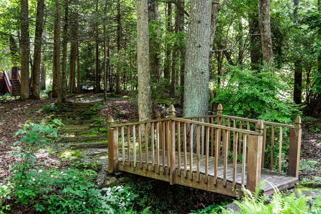 77 Old Covered Bridge Road, Cherry Log GA 30522 - Photo