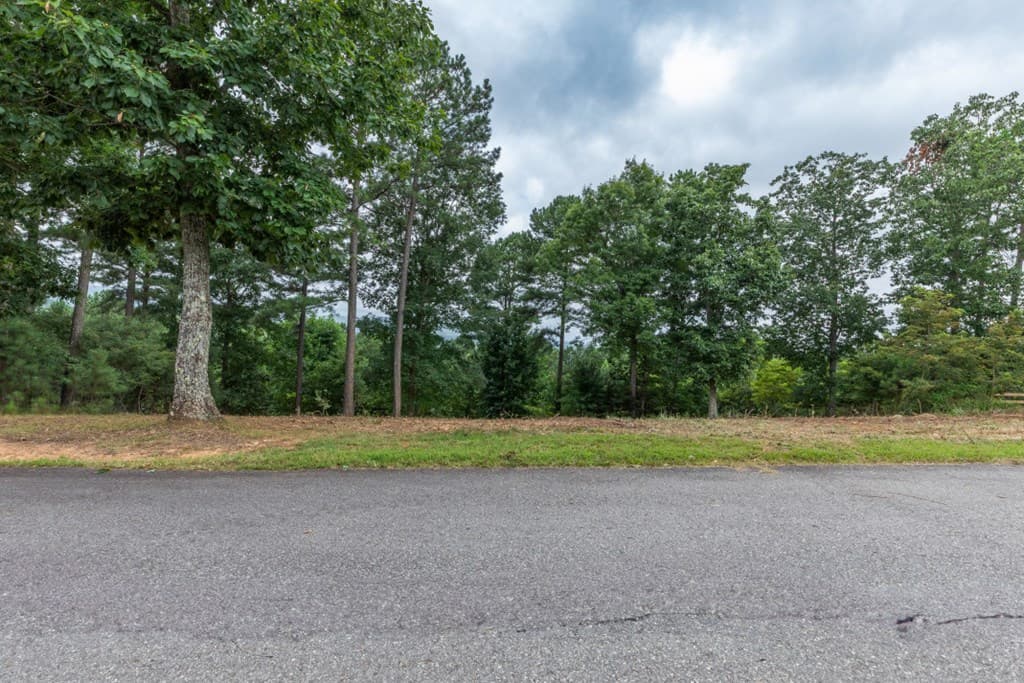 Lot 13 Thirteen Hundred, Blairsville GA 30512 - Photo