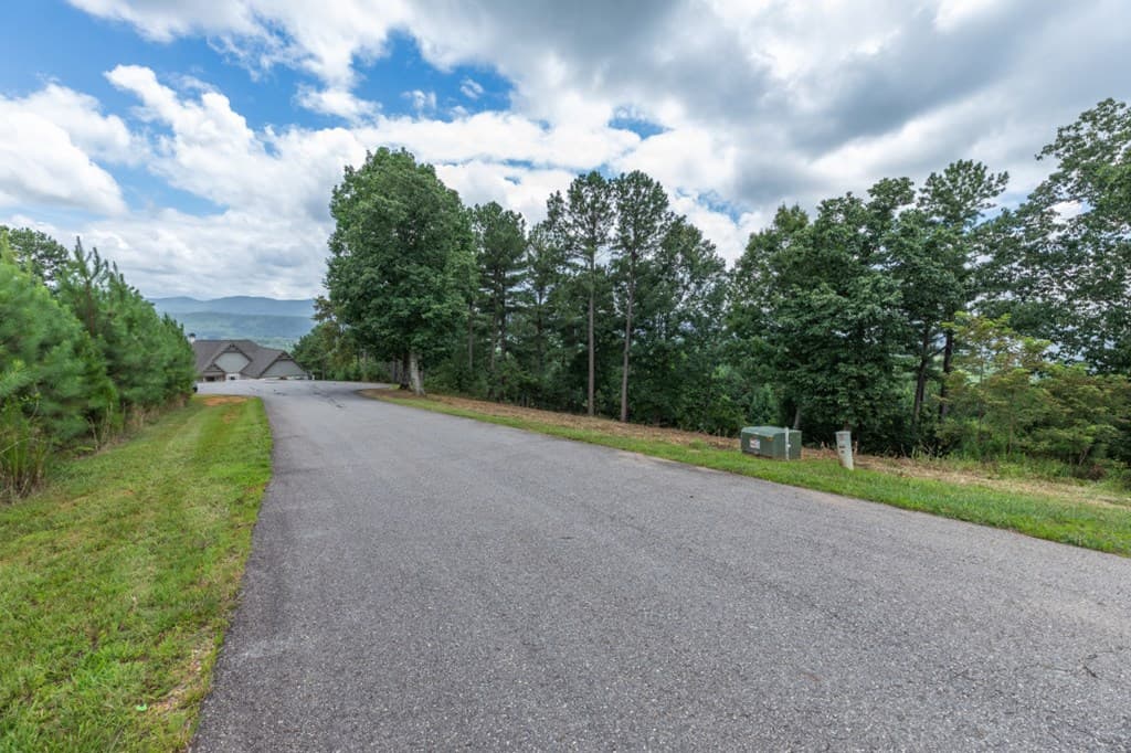 Lot 13 Thirteen Hundred, Blairsville GA 30512 - Photo
