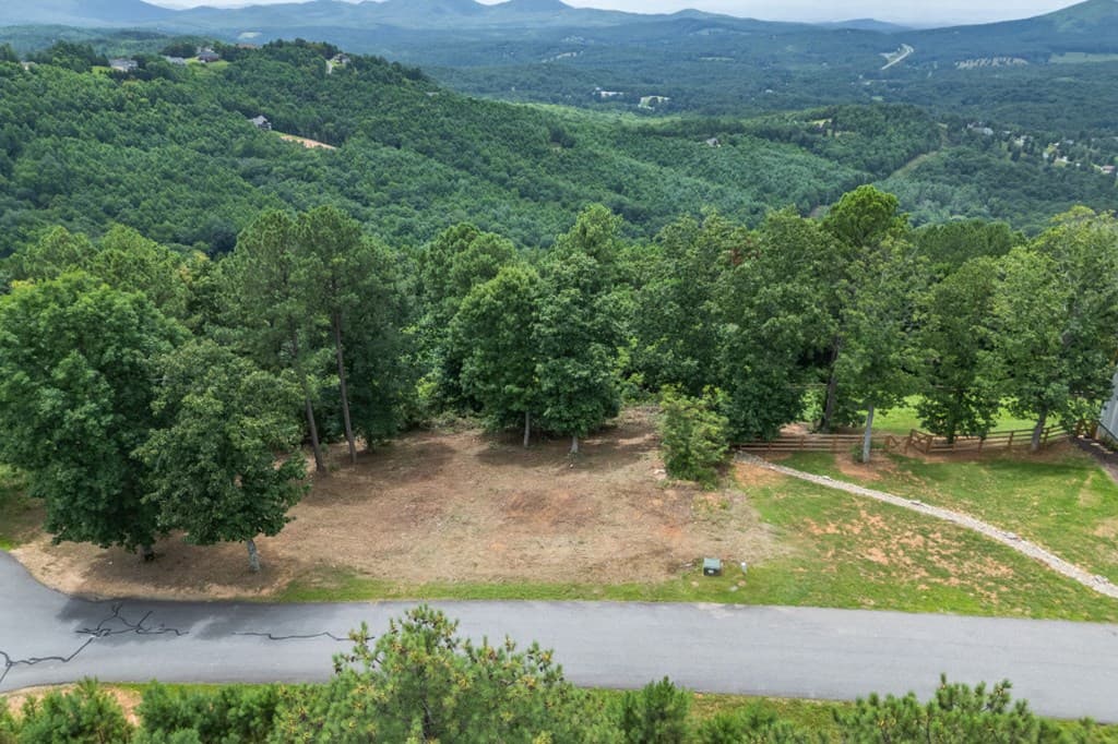 Lot 13 Thirteen Hundred, Blairsville GA 30512 - Photo
