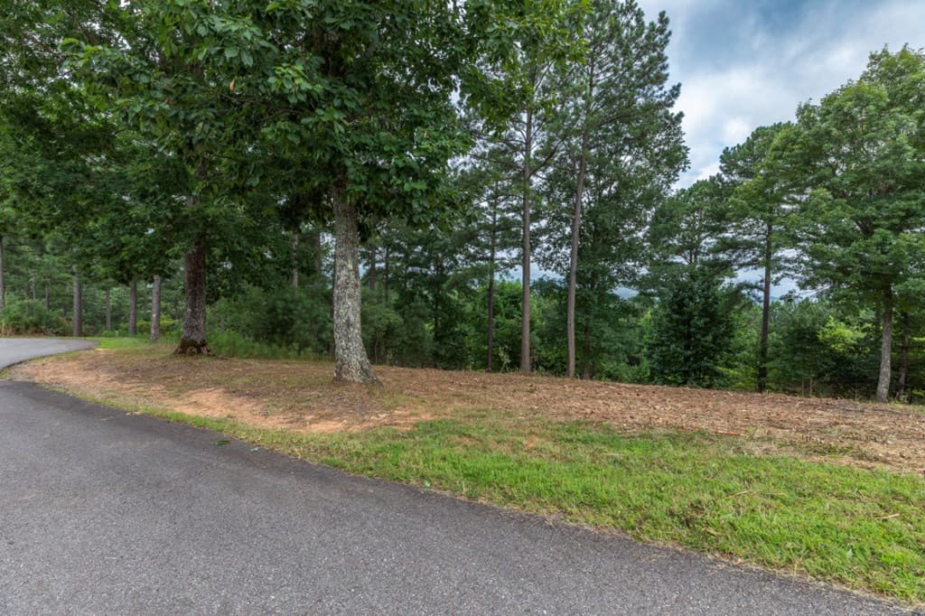 Lot 13 Thirteen Hundred, Blairsville GA 30512 - Photo