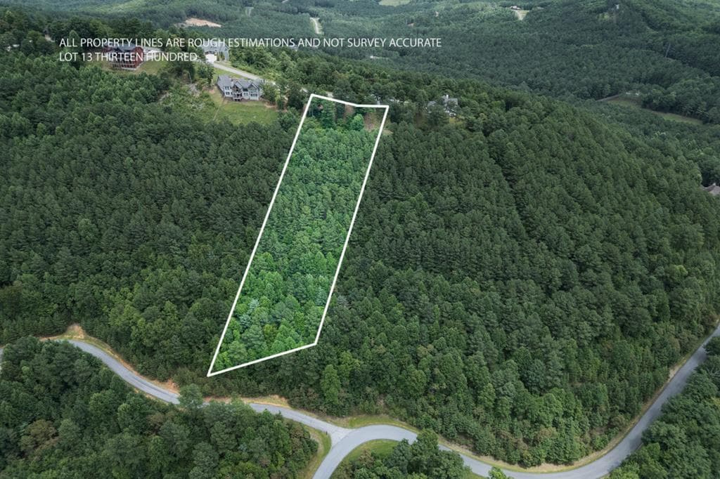 Lot 13 Thirteen Hundred, Blairsville GA 30512 - Primary photo