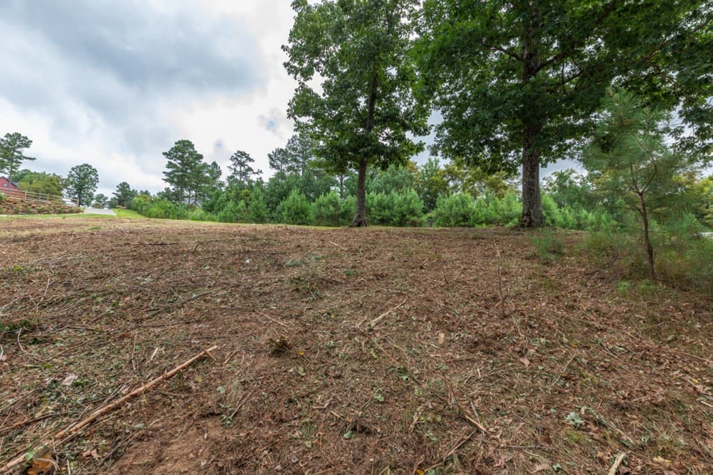 Lot 13 Thirteen Hundred, Blairsville GA 30512 - Photo