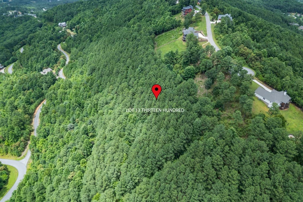 Lot 13 Thirteen Hundred, Blairsville GA 30512 - Photo