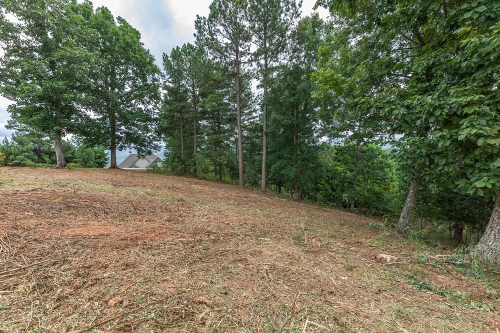 Lot 13 Thirteen Hundred, Blairsville GA 30512 - Photo