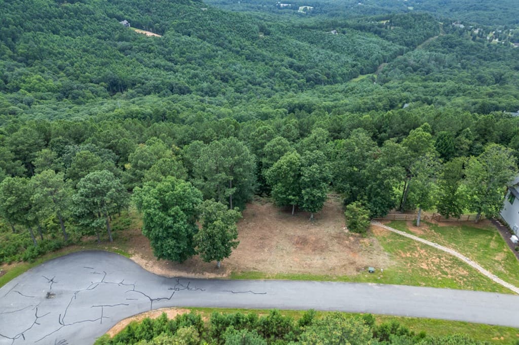 Lot 13 Thirteen Hundred, Blairsville GA 30512 - Photo