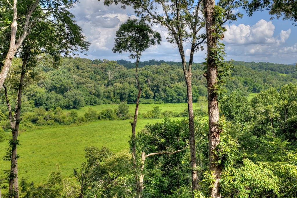 1729 Barnes Chapel Road, Blue Ridge GA 30513 - Photo