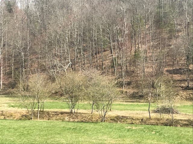 17.22 ac Skeenah Gap Road, Suches GA 30513 - Photo