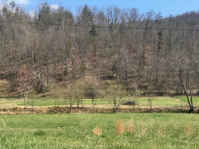 17.22 ac Skeenah Gap Road, Suches GA 30513 - Photo