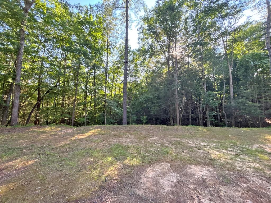 Lot 2329 S Whitepath Circle, Ellijay GA 30540 - Photo