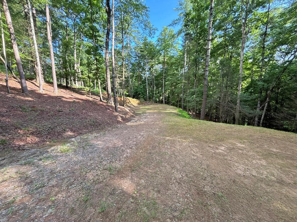 Lot 2329 S Whitepath Circle, Ellijay GA 30540 - Photo