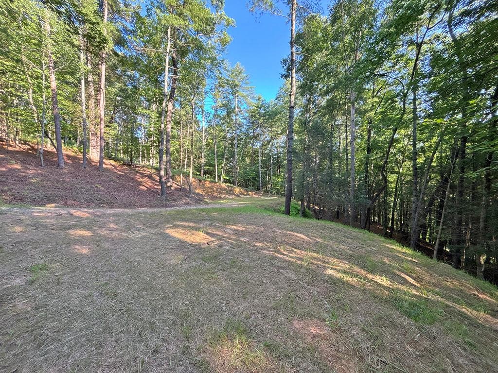 Lot 2329 S Whitepath Circle, Ellijay GA 30540 - Photo