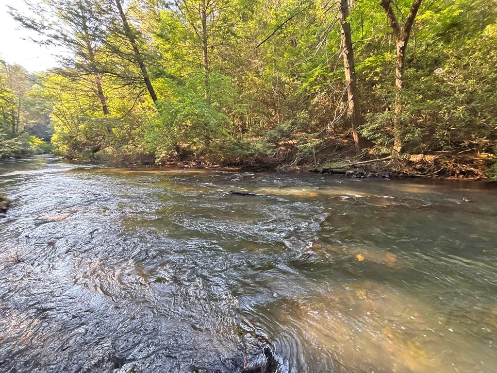 Lot 2329 S Whitepath Circle, Ellijay GA 30540 - Photo