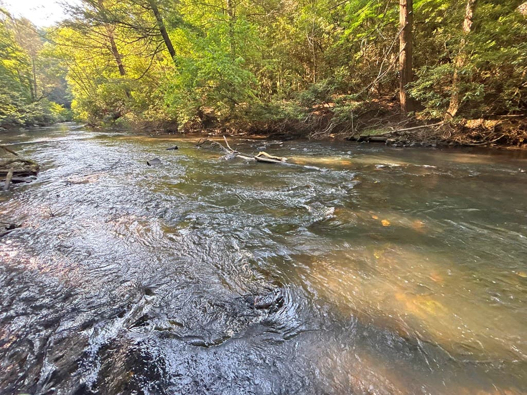 Lot 2329 S Whitepath Circle, Ellijay GA 30540 - Photo