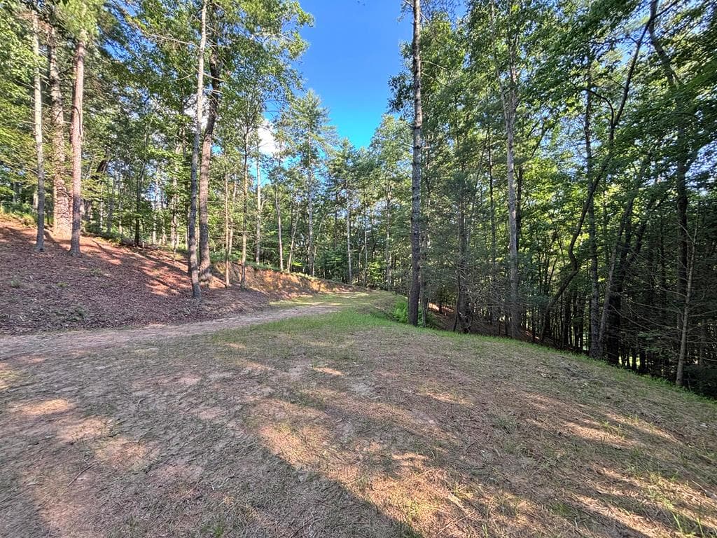 Lot 2329 S Whitepath Circle, Ellijay GA 30540 - Photo
