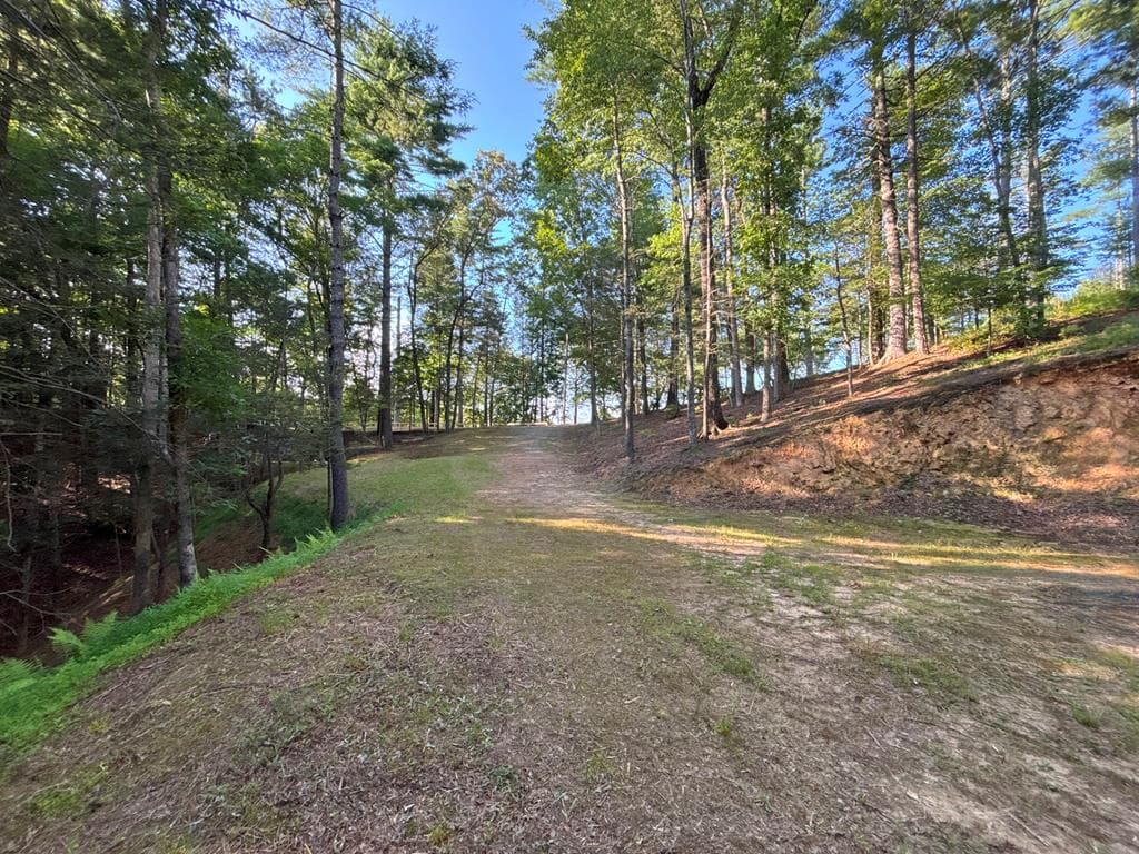 Lot 2329 S Whitepath Circle, Ellijay GA 30540 - Photo
