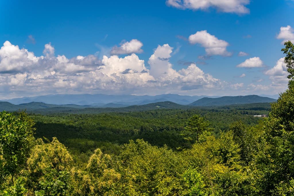 334 Hawks Claw Trail, Morganton GA 30560 - Photo