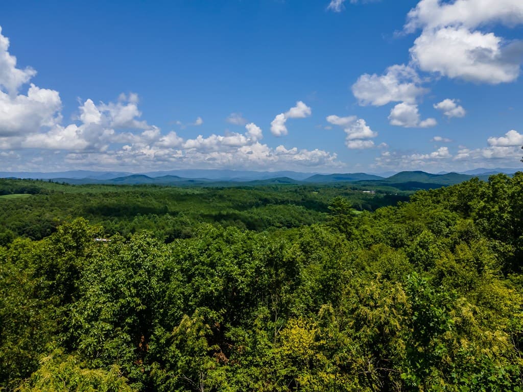 334 Hawks Claw Trail, Morganton GA 30560 - Photo
