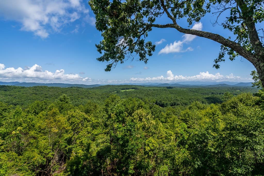 334 Hawks Claw Trail, Morganton GA 30560 - Photo