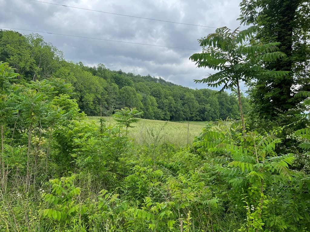 6387 Airport Road, Andrews NC 28901 - Photo