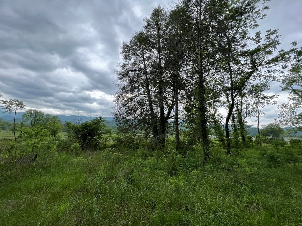 6387 Airport Road, Andrews NC 28901 - Photo