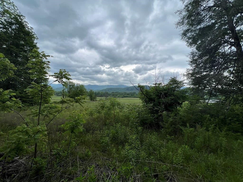 6387 Airport Road, Andrews NC 28901 - Photo