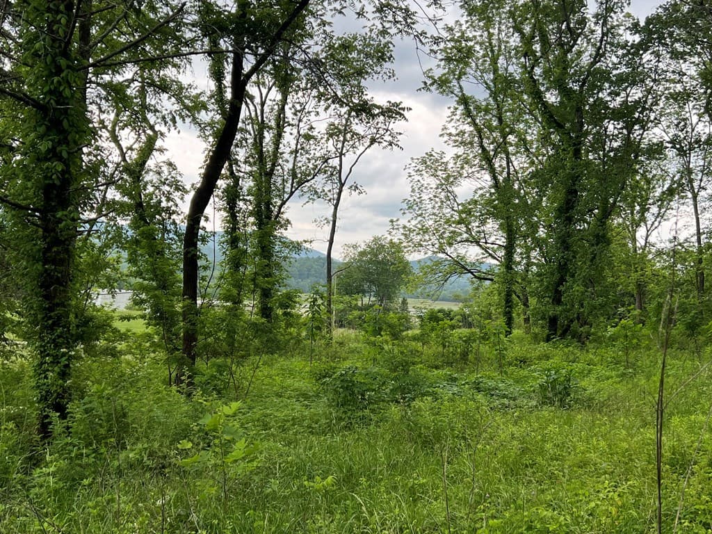6387 Airport Road, Andrews NC 28901 - Photo