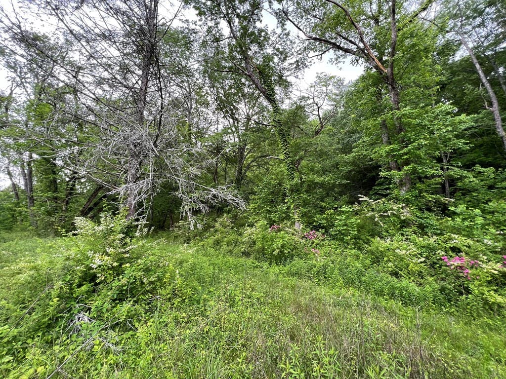 6387 Airport Road, Andrews NC 28901 - Photo