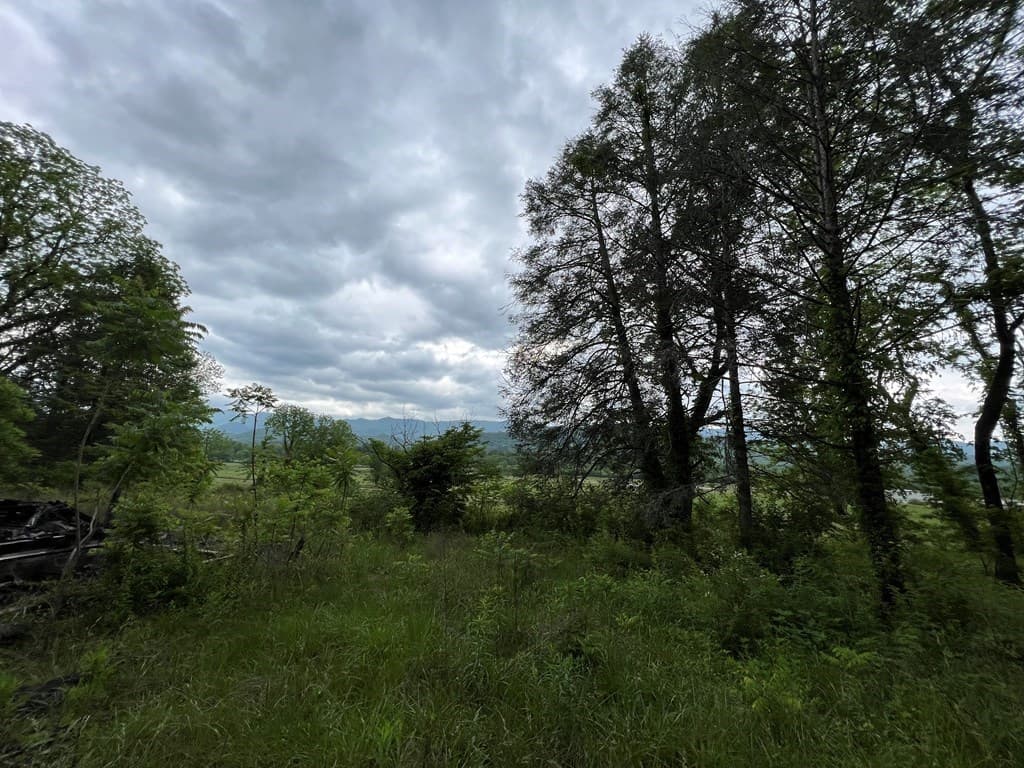6387 Airport Road, Andrews NC 28901 - Photo