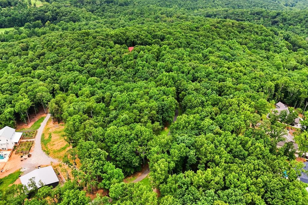 116 Hidden Cove Drive, Ball Ground GA 30107 - Photo