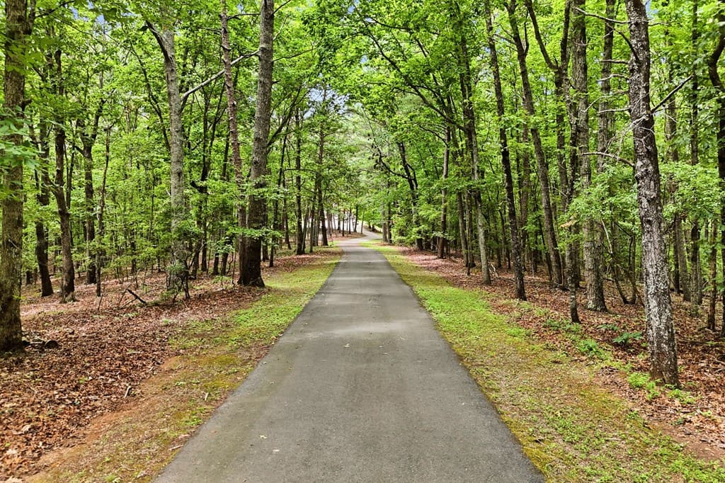 116 Hidden Cove Drive, Ball Ground GA 30107 - Photo
