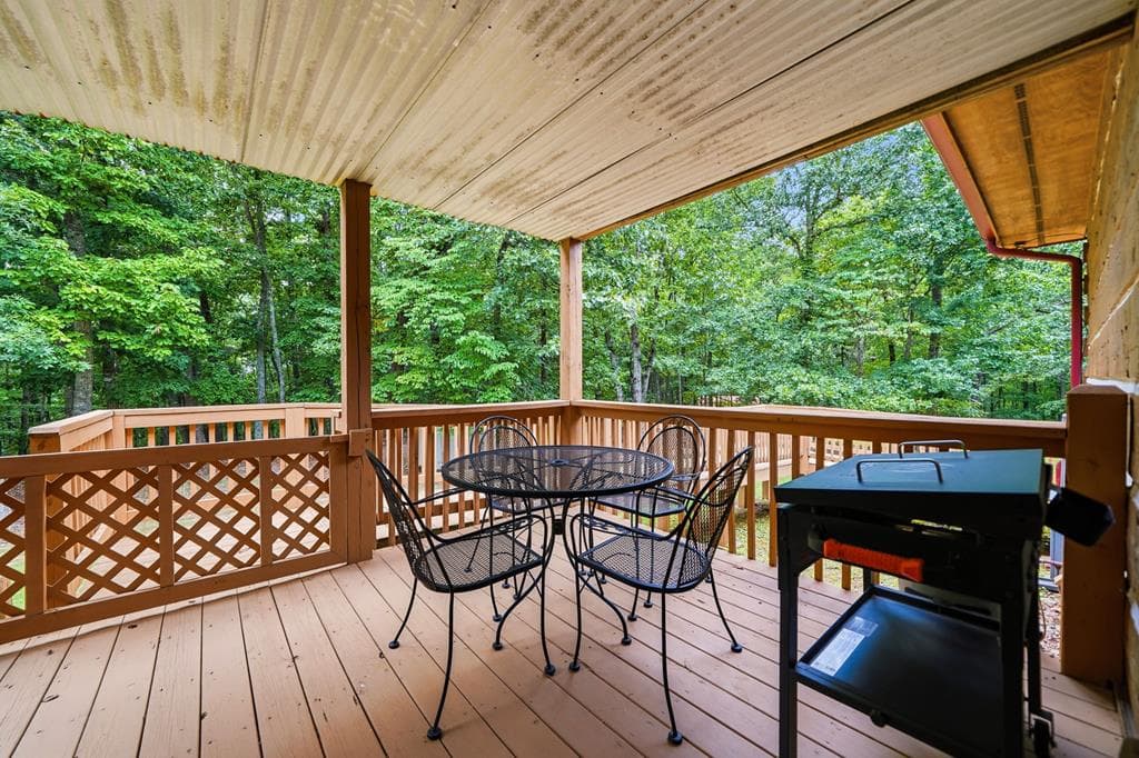 116 Hidden Cove Drive, Ball Ground GA 30107 - Photo