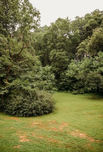 200 Old Woodring Road, Ellijay GA 30540 - Photo