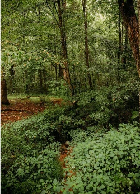 200 Old Woodring Road, Ellijay GA 30540 - Photo