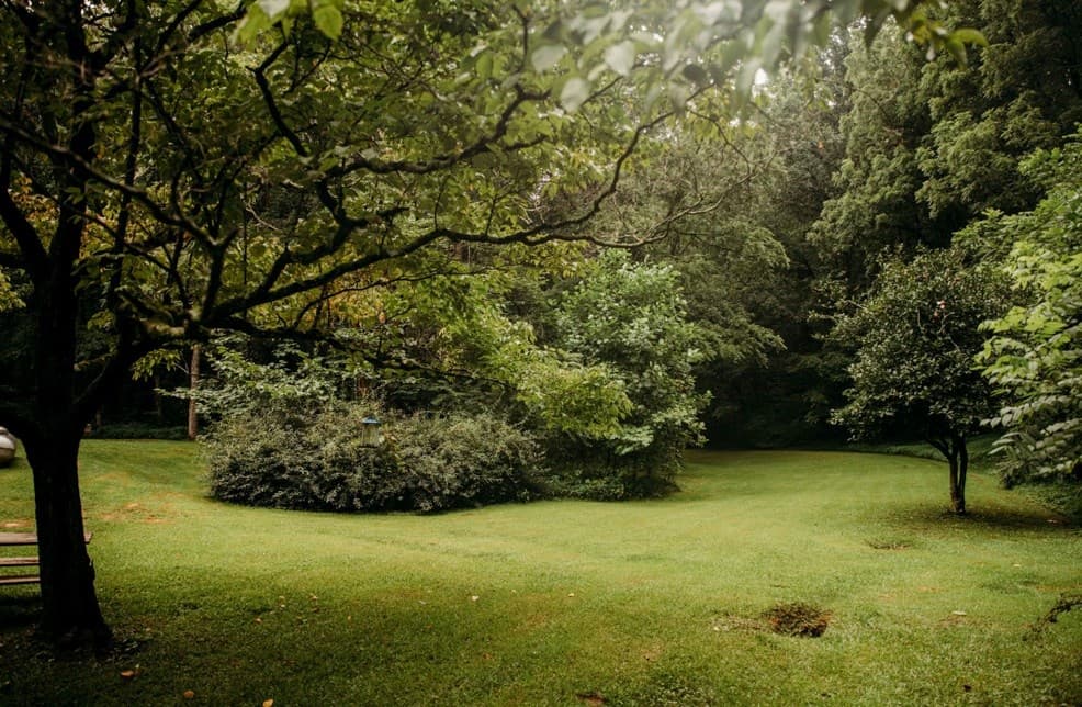 200 Old Woodring Road, Ellijay GA 30540 - Photo