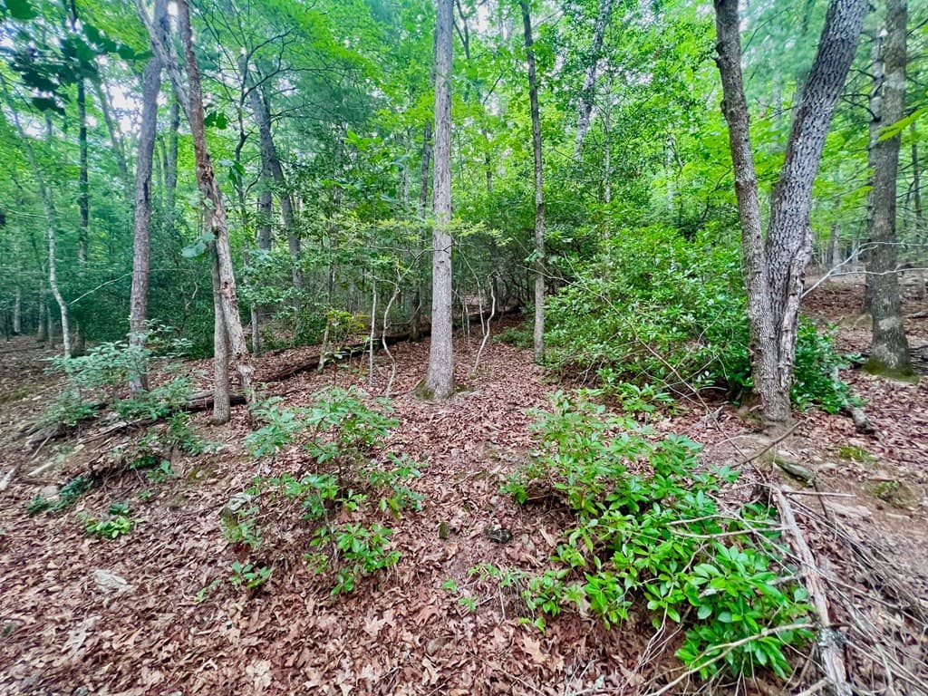 193 Opossum Road, Blairsville GA 30512 - Photo