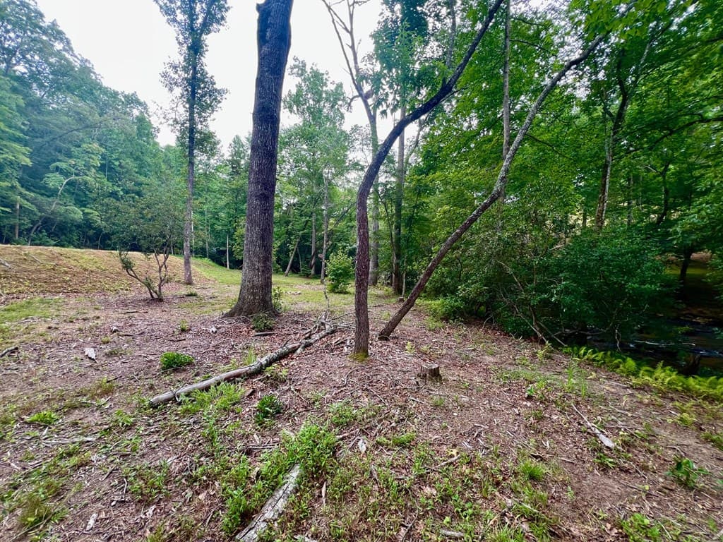 193 Opossum Road, Blairsville GA 30512 - Photo