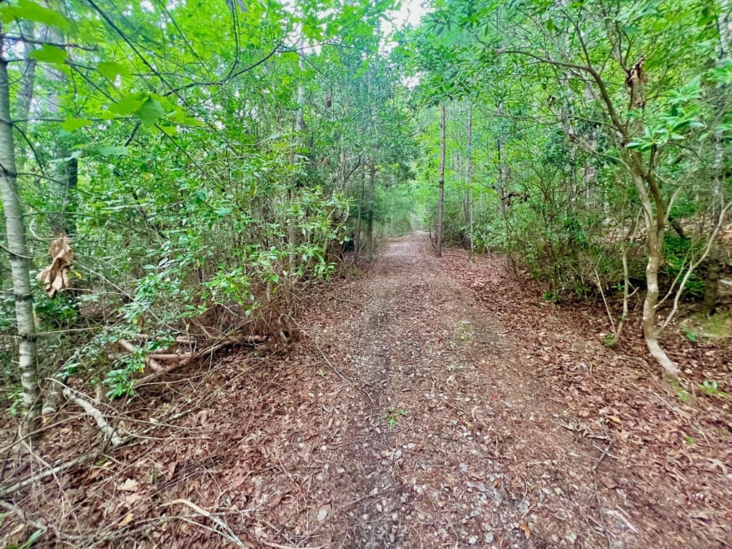 193 Opossum Road, Blairsville GA 30512 - Photo