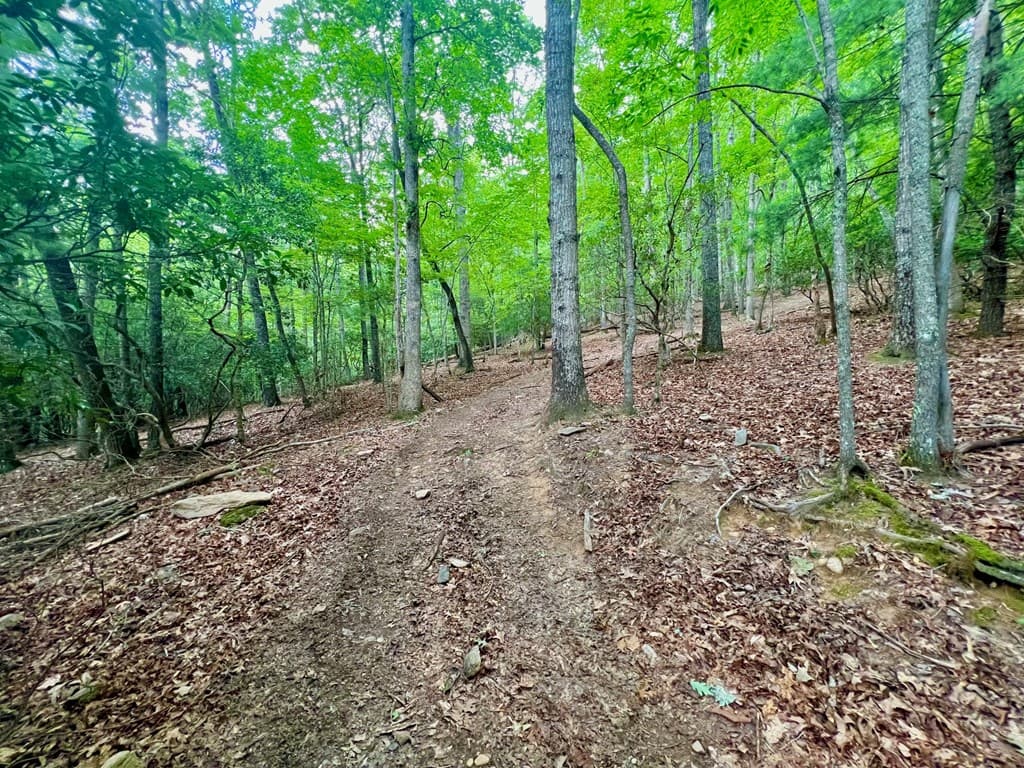 193 Opossum Road, Blairsville GA 30512 - Photo