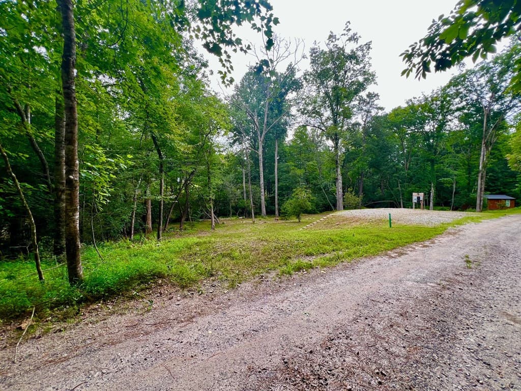 193 Opossum Road, Blairsville GA 30512 - Photo