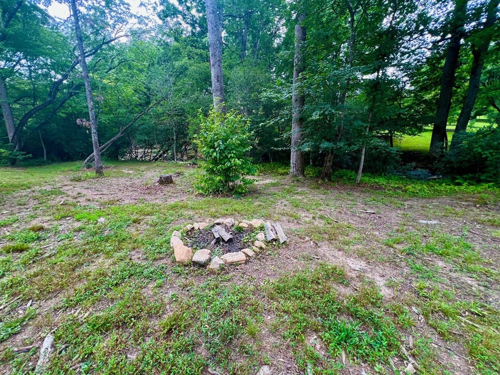 193 Opossum Road, Blairsville GA 30512 - Photo