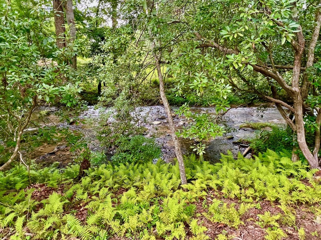 193 Opossum Road, Blairsville GA 30512 - Photo