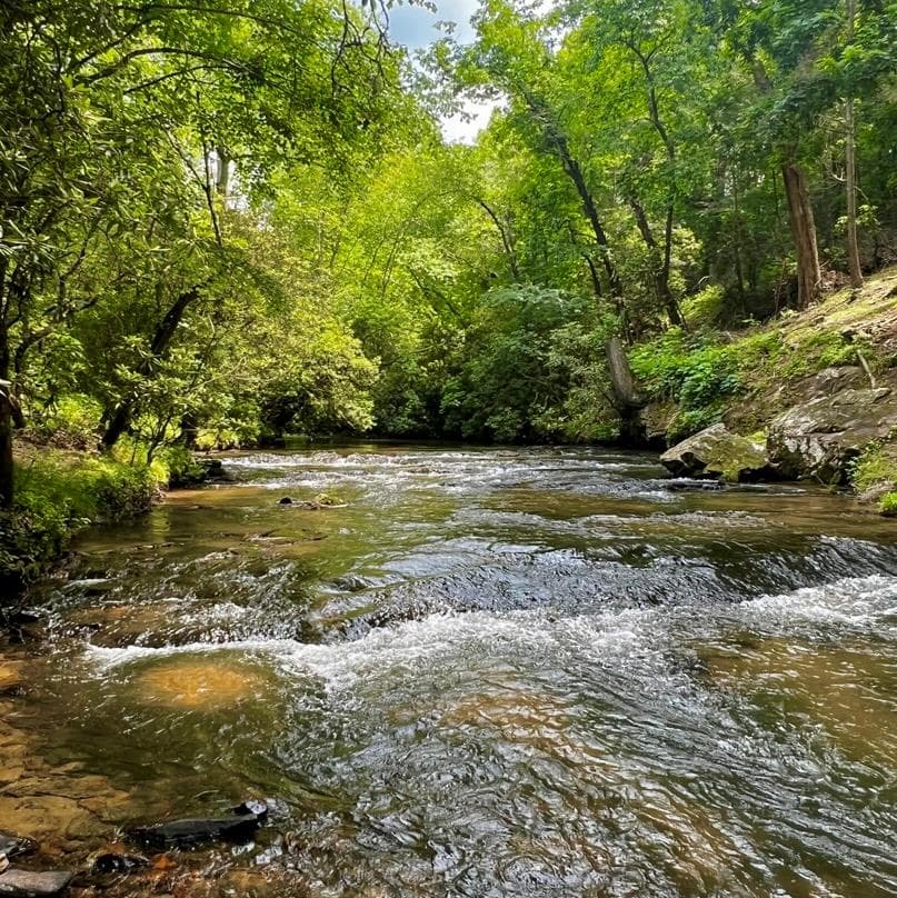 193 Opossum Road, Blairsville GA 30512 - Primary photo