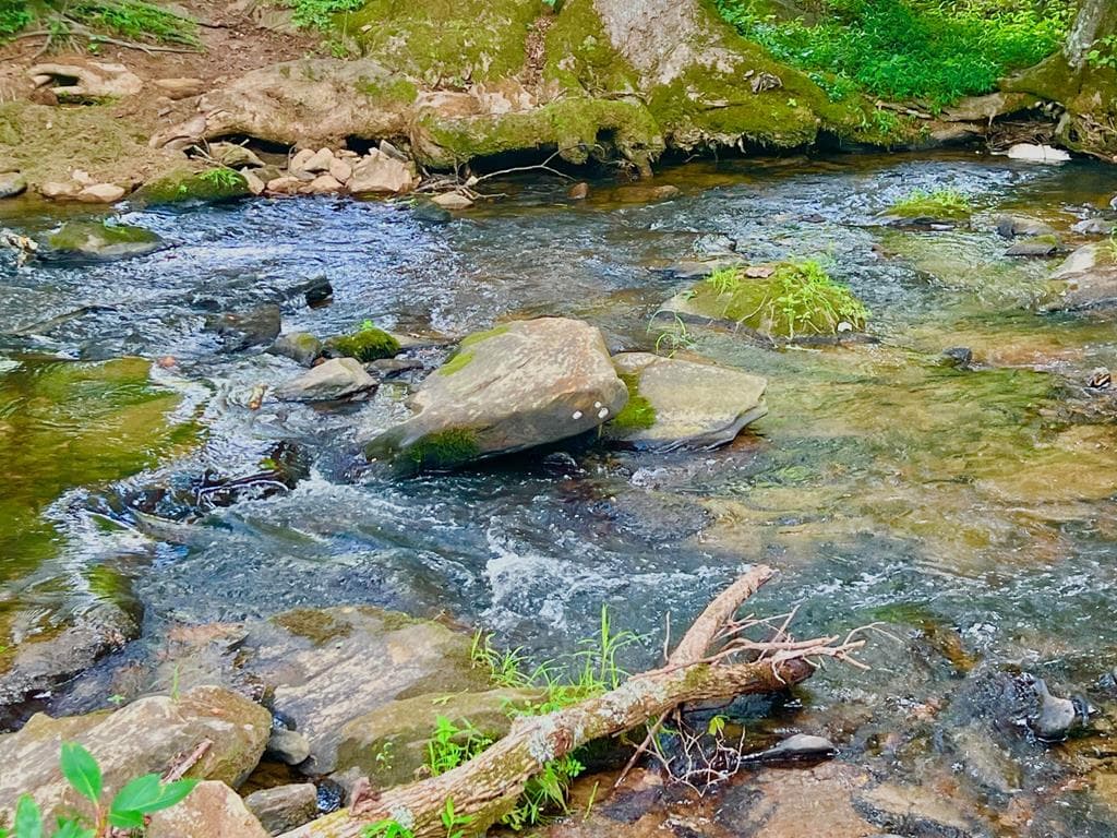 193 Opossum Road, Blairsville GA 30512 - Photo