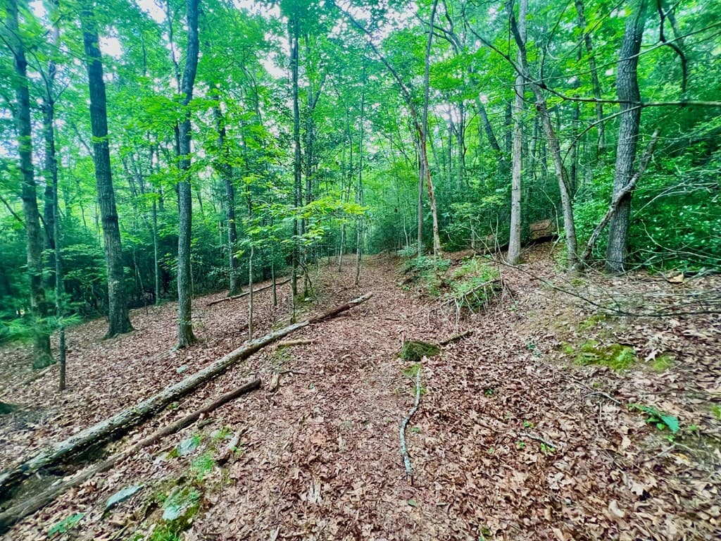 193 Opossum Road, Blairsville GA 30512 - Photo